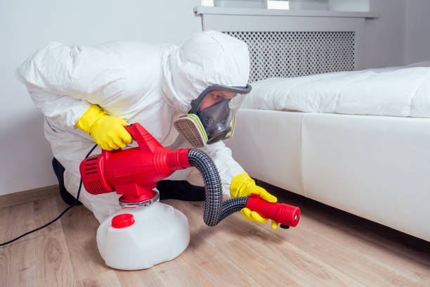 Flea Control Services in Flora Vista, NM