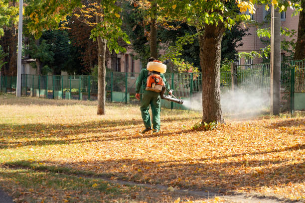 Wasp Removal Services in Flora Vista, NM
